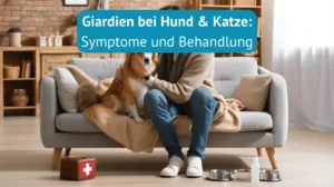 Giardien bekämpfen bei Hund und Katze (Titel)