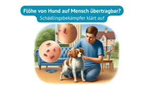Flöhe von Hund auf Mensch