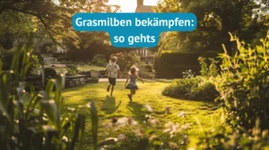 Grasmilben bekämpfen