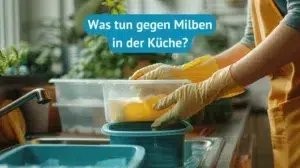 Lebensmittelmilben in der Küche