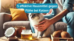 Hausmittel Flöhe bei Katzen