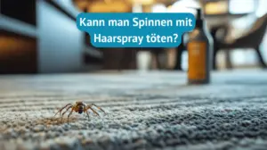 Spinne mit Haarspray töten