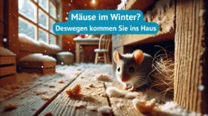 Mäuse im Winter