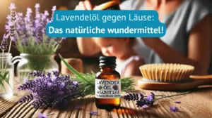 Lavendelöl gegen Läuse