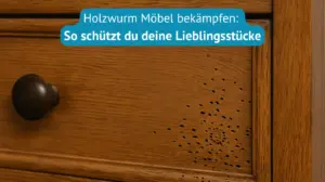 holzwurm möbel bekämpfen