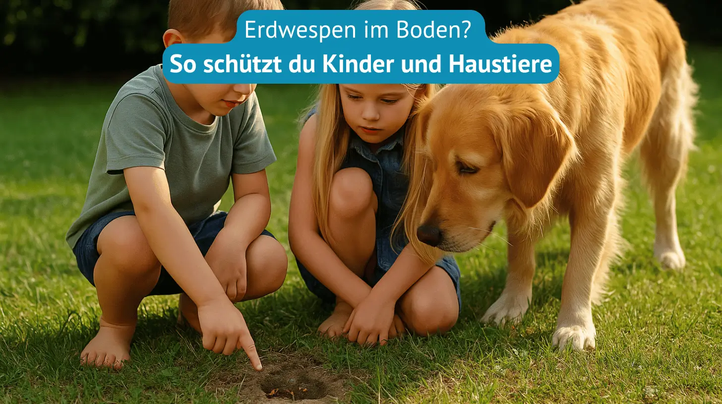 erdwespen im boden so schützt du kinder und haustiere