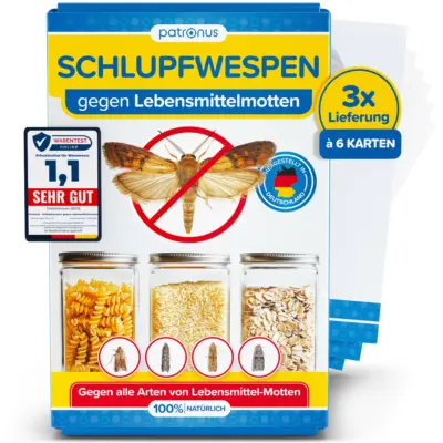 3x6 Schlupfwespen gegen Lebensmittelmotten