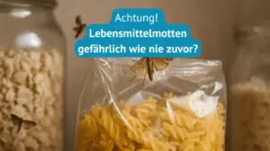 lebensmittelmotten gefährlich