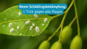neem schädlingsbekämpfung